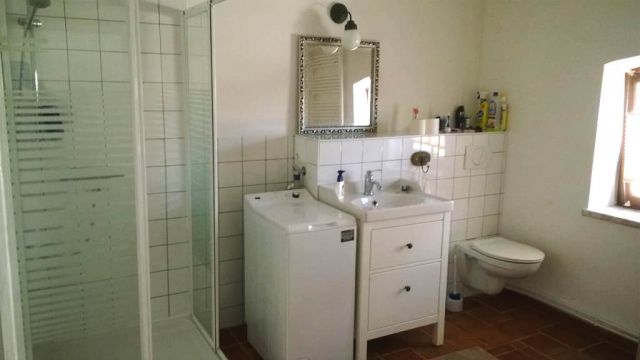 Ansicht des Bads mit Dusche, kleiner Waschmaschine mit Toploader, Spiegel, Waschbecken mit zwei Schubladen darunter und Toilette